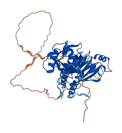 SMAD9 3D structure