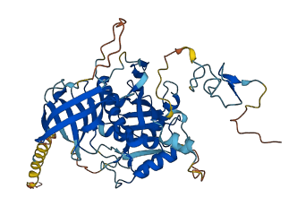 ADAMDEC1 3D structure