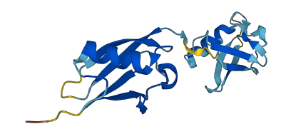 UBD 3D structure