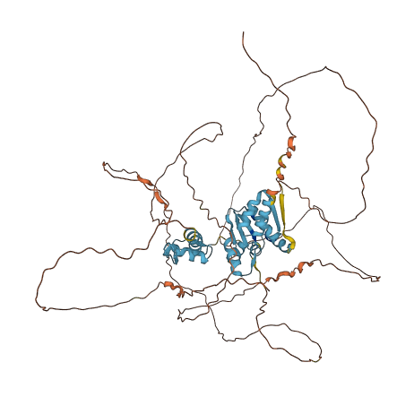 ZBTB22 3D structure