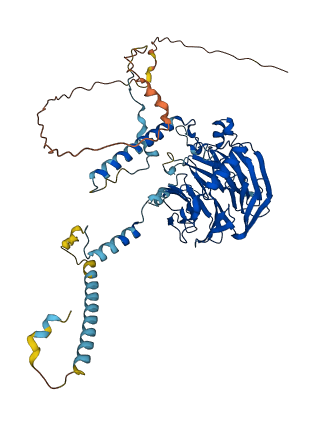 WDR46 3D structure