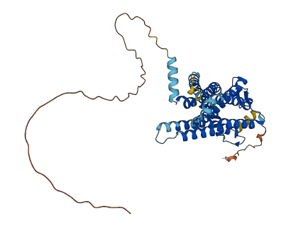 GPR182 3D structure