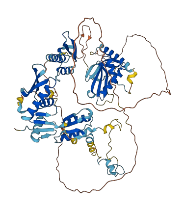 NKRF 3D structure