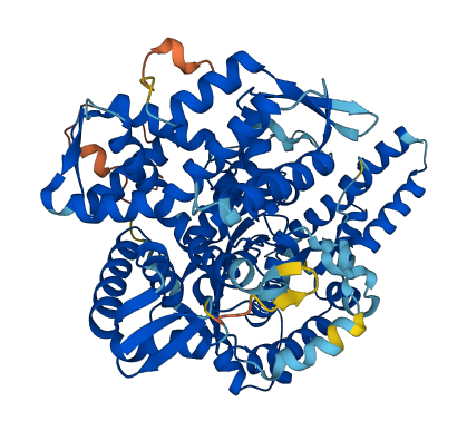 GNPAT 3D structure