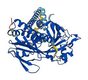 KMO 3D structure