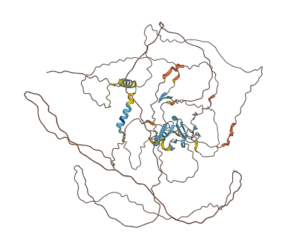 ZNF185 3D structure