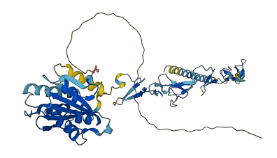 MATN3 3D structure
