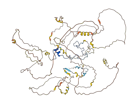 CASC3 3D structure
