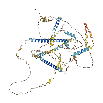 VGF 3D structure