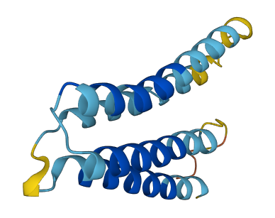 LEPROT 3D structure