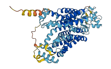 SLC22A2 3D structure