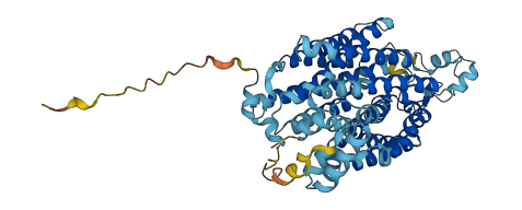 SLC22A1 3D structure