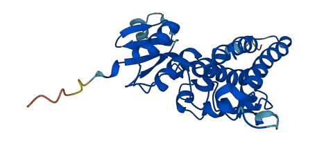 CLIC2 3D structure