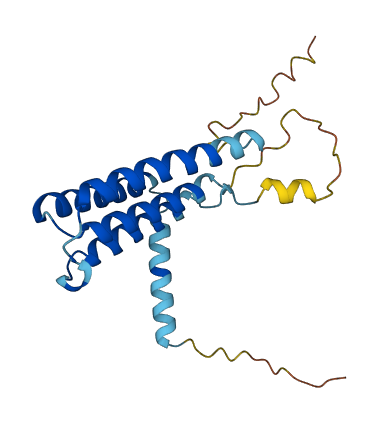 RER1 3D structure