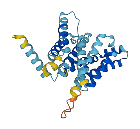SURF4 3D structure