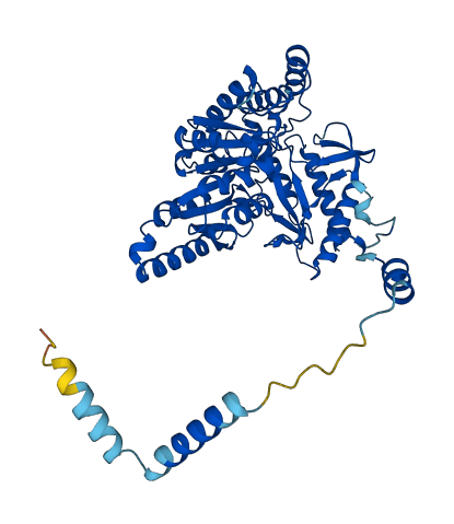 SPTLC1 3D structure