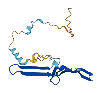 TCAP 3D structure