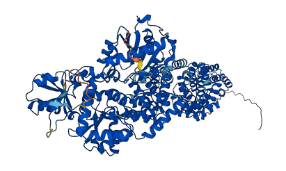 OGT 3D structure