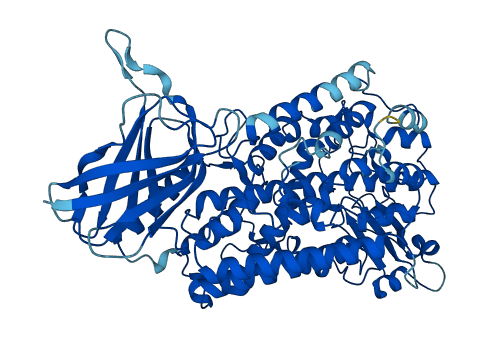 ALOX15B 3D structure