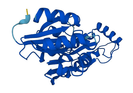 PMM2 3D structure