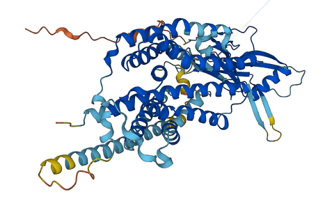 TM9SF1 3D structure