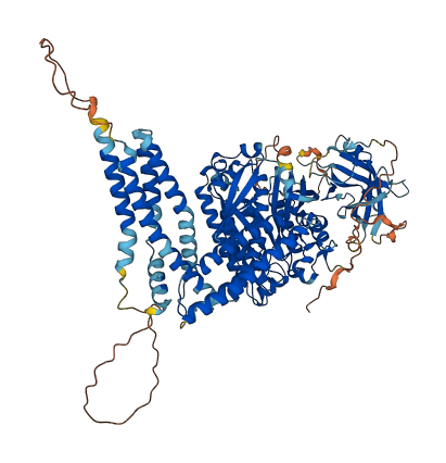 INPP4B 3D structure