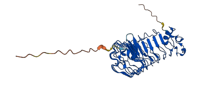 CHAD 3D structure