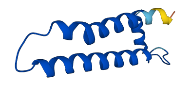 ATP6V0E1 3D structure