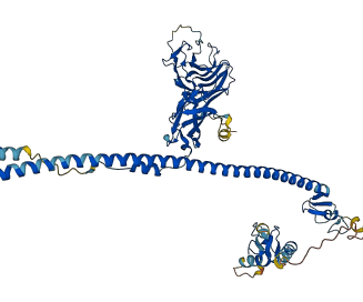 MID1 3D structure
