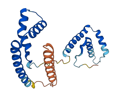 HMGB3 3D structure