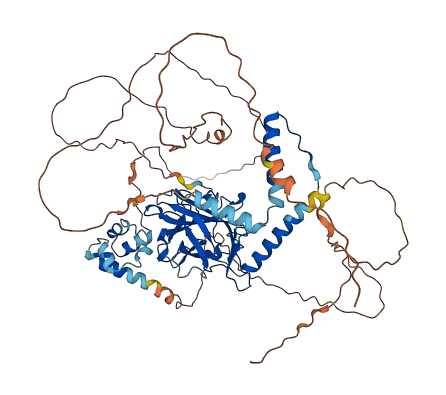 TP73 3D structure