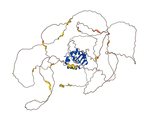 FOXN1 3D structure