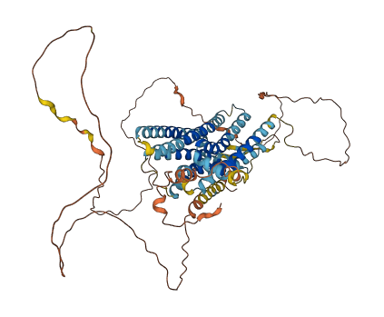 GPR37 3D structure