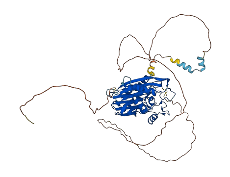 PPM1G 3D structure