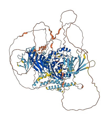 INPPL1 3D structure