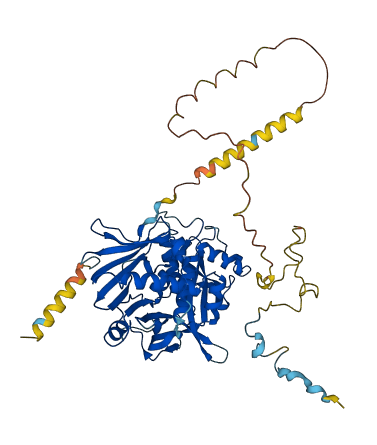 EIF3D 3D structure