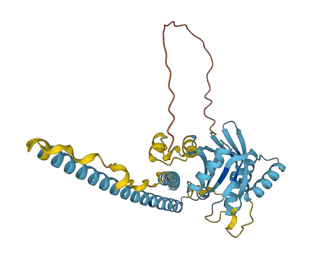 EIF3H 3D structure