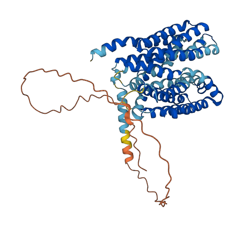 SLC16A4 3D structure