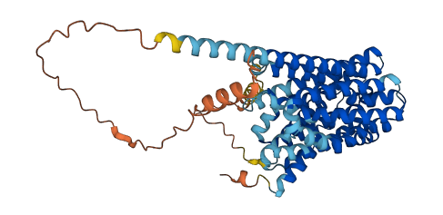 SLC16A5 3D structure