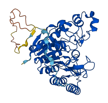 HDAC3 3D structure