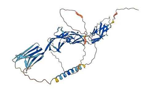 SIGLEC5 3D structure