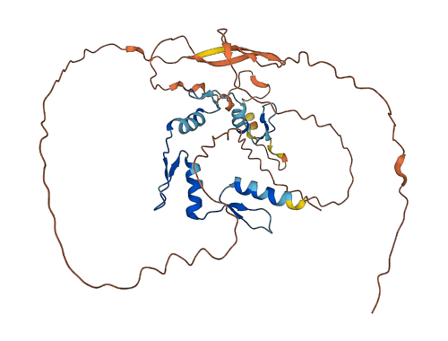 YY2 3D structure