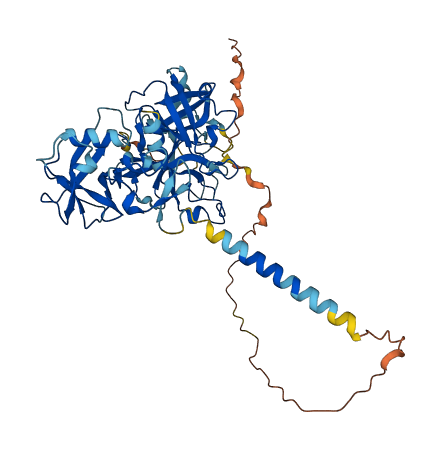 TMPRSS2 3D structure