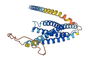 STX7 3D structure
