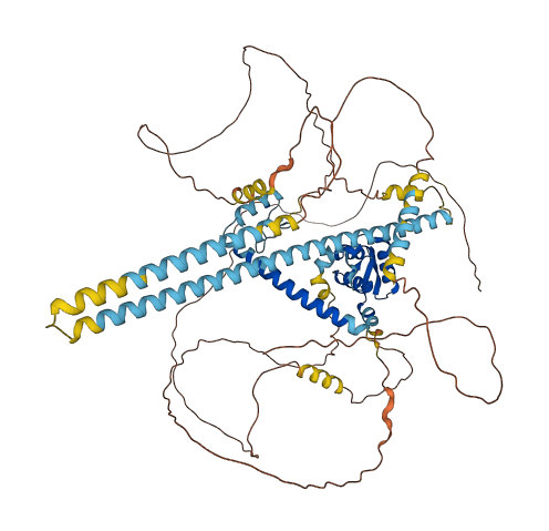 FOXP2 3D structure