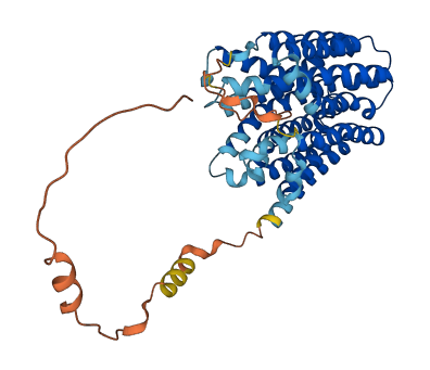 SLC16A3 3D structure