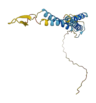 SLC31A1 3D structure