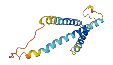 SLC31A2 3D structure