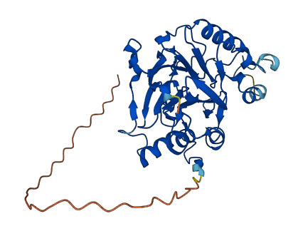 MPPED1 3D structure