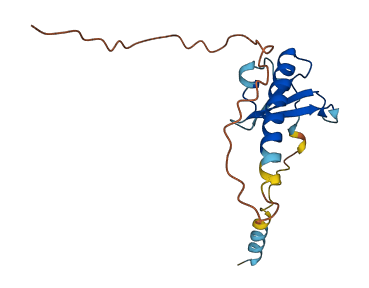 CCL25 3D structure